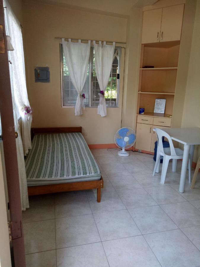 Violin Mountain Apartment Dumaguete City Bagian luar foto